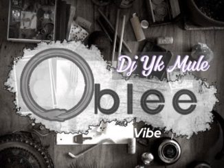 DJ YK Mule - Oblee Vibe