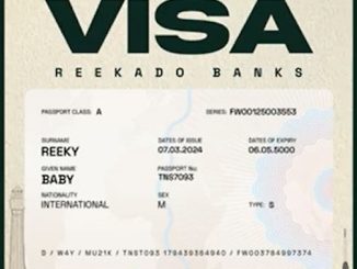 Reekado Banks - Visa